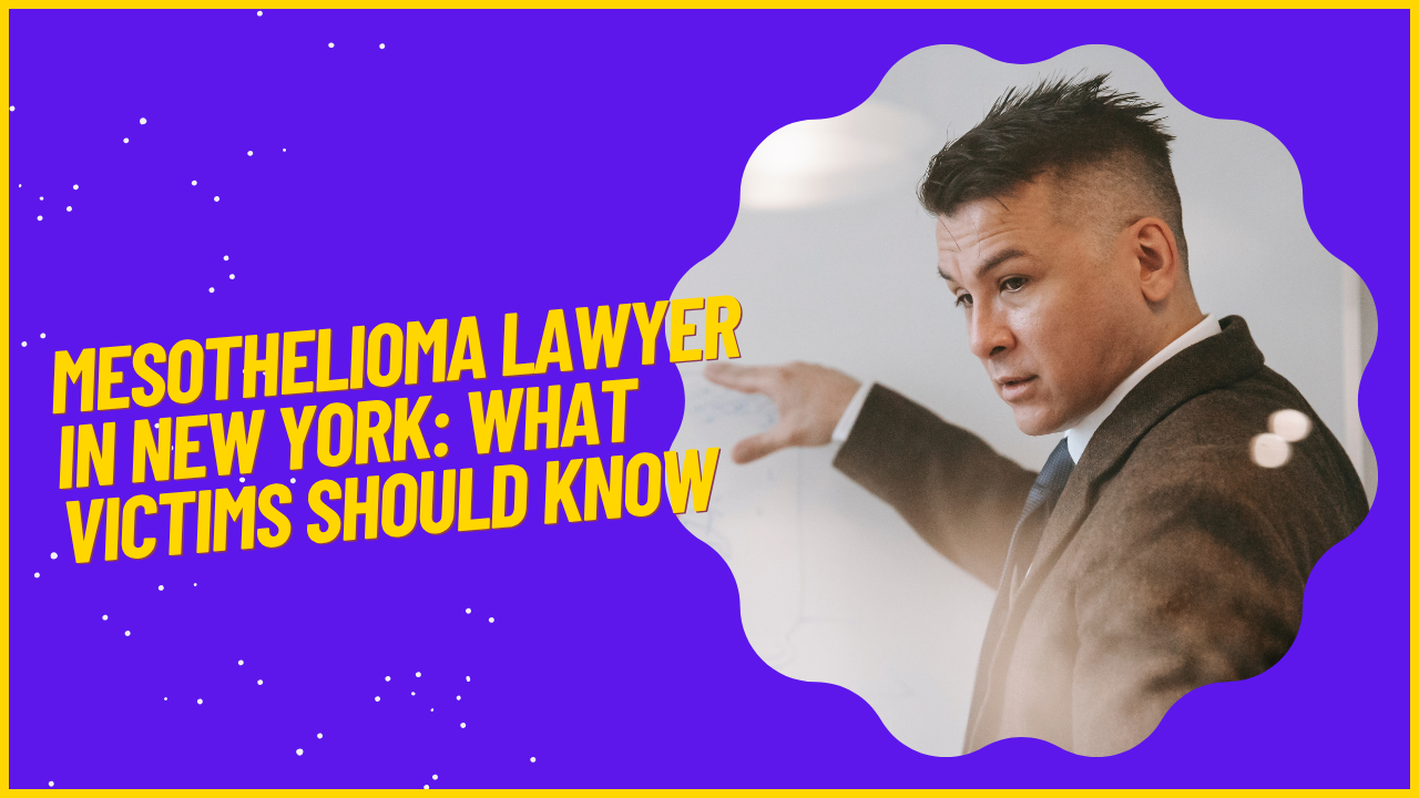 Mesothelioma Lawyer in New York: What Victims Should Know